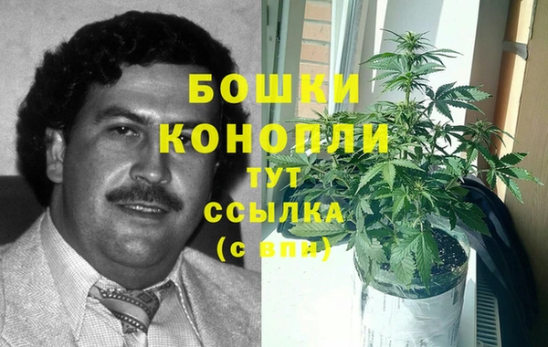трава Алзамай