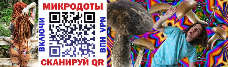 площадка состав Геленджик Псилоцибиновые грибы MAGIC MUSHROOMS цена наркотик