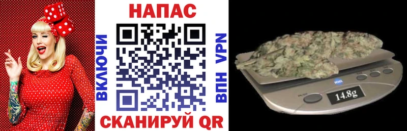 мега сайт  где найти наркотики  Геленджик  Конопля тримм 
